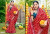 Radhe By 5d Designer Soft Silk Jari Border Saree Bulk Orders In India